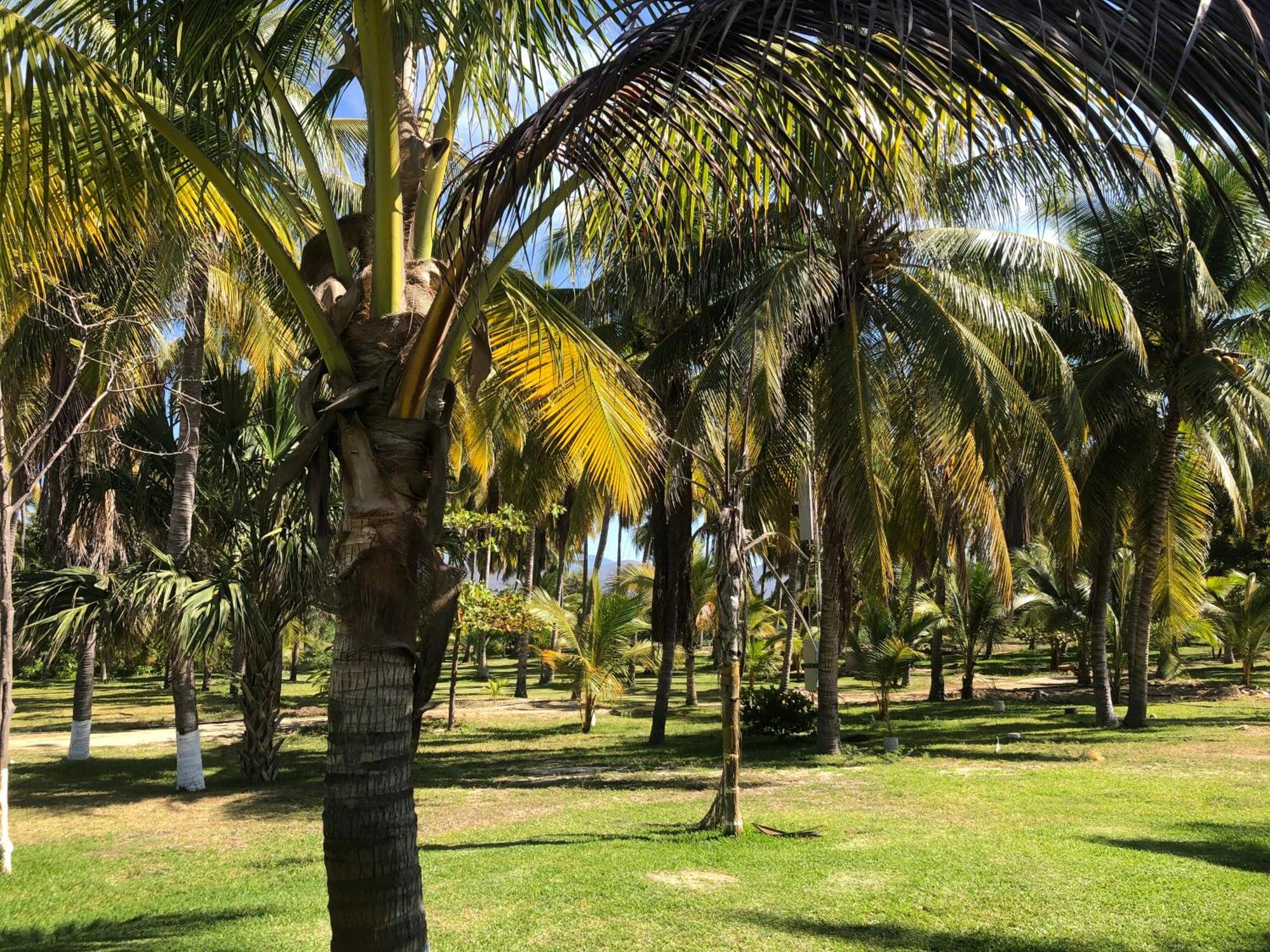 Casa Kundavi Beach Front Paradise Recado Екстериор снимка